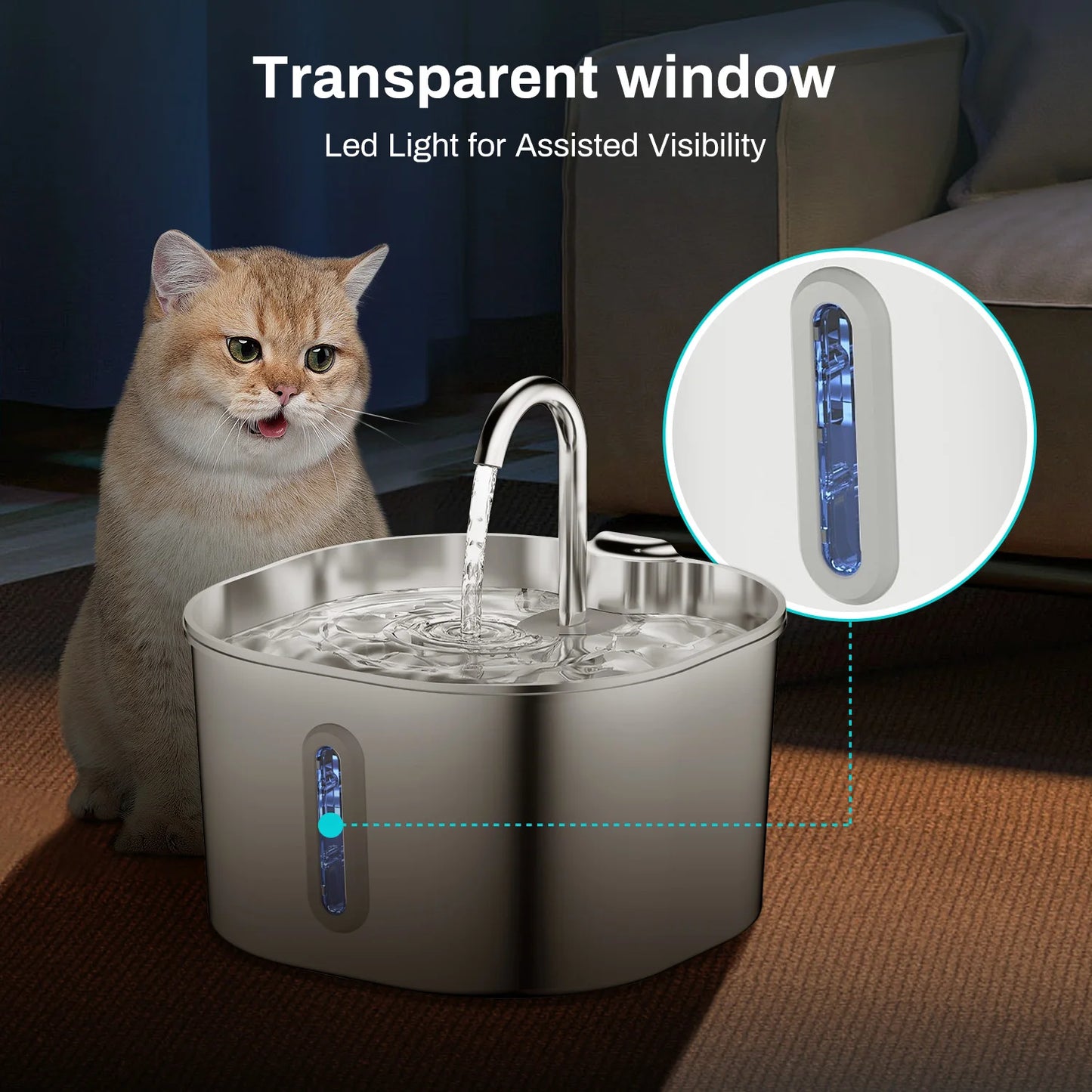 Give Your Cat Years More Healthy Life With Pawtify