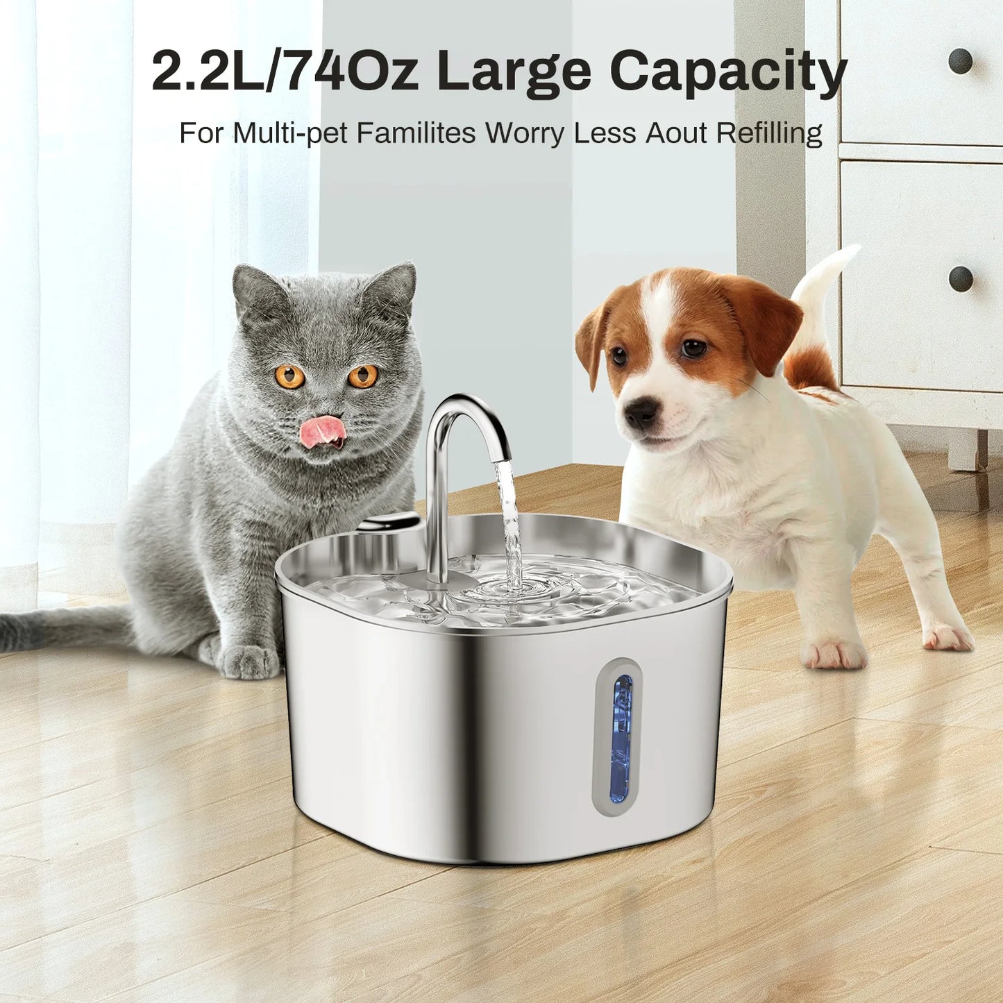 Give Your Cat Years More Healthy Life With Pawtify